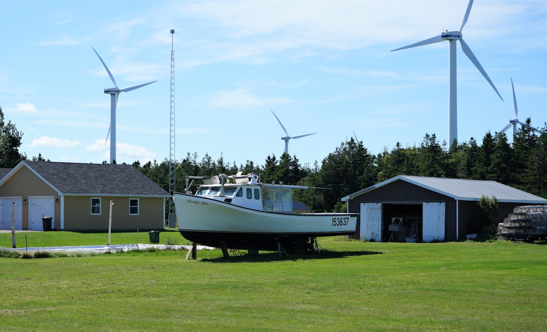 Dory u0026 Windmills